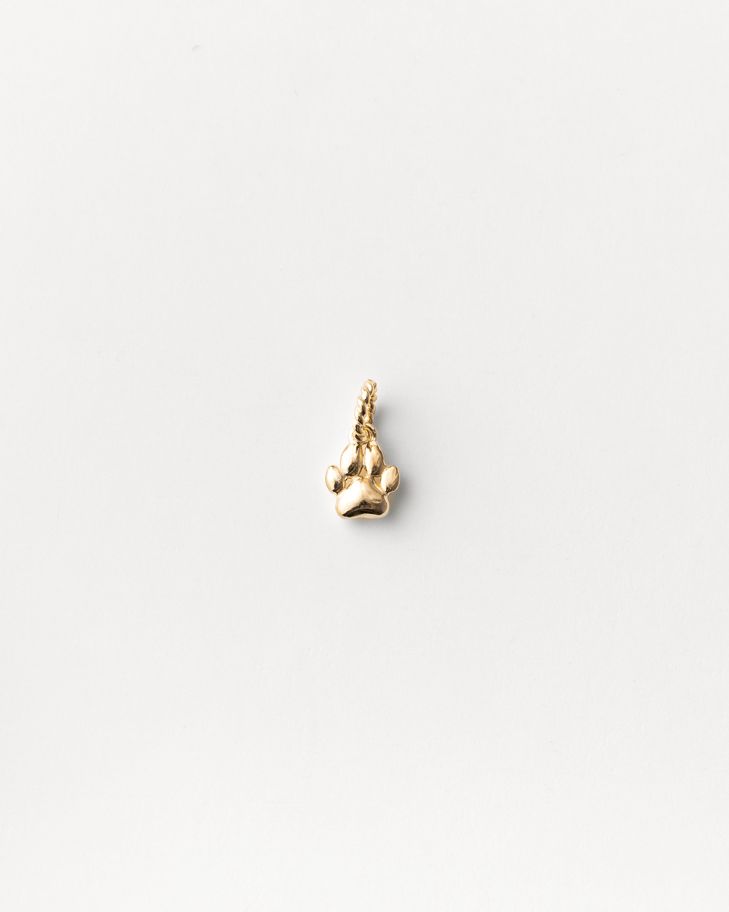 Stylish Paw Charm for Pet Lovers