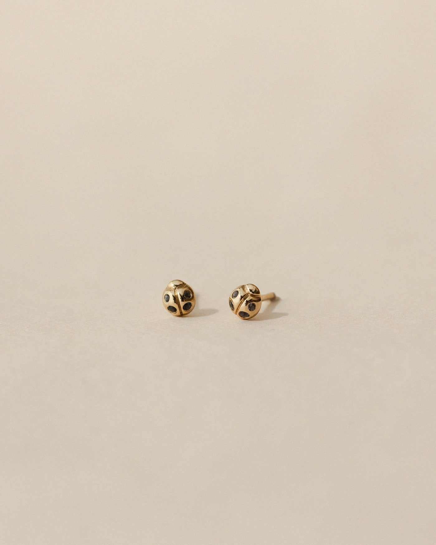 Stylish Ladybug Stud Earrings