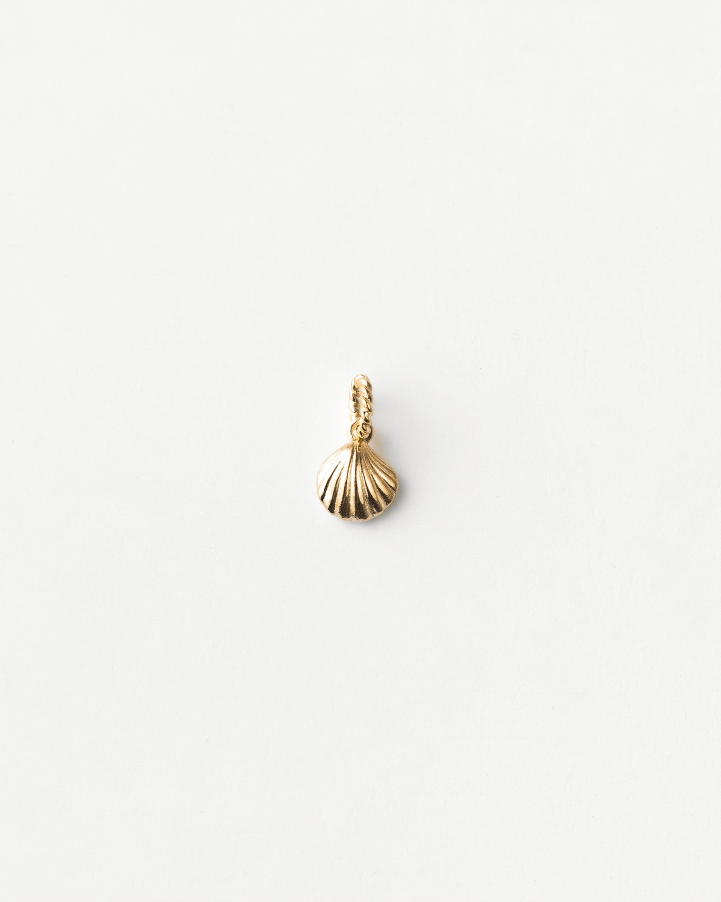 Charming Seashell Pendant Necklace
