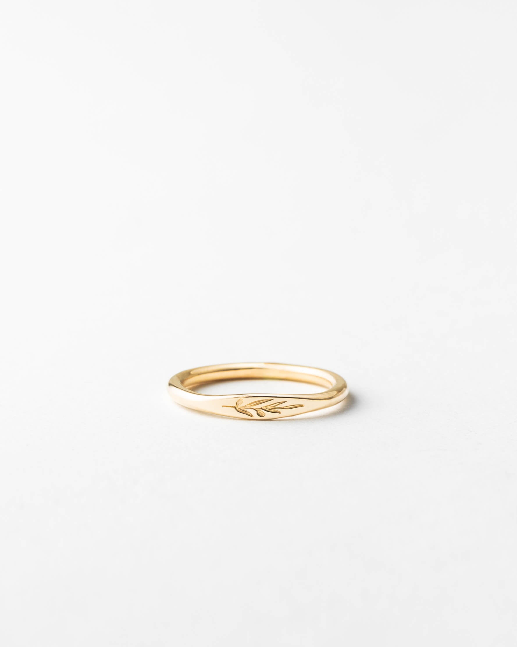 Elegant Olive Branch Signet Ring