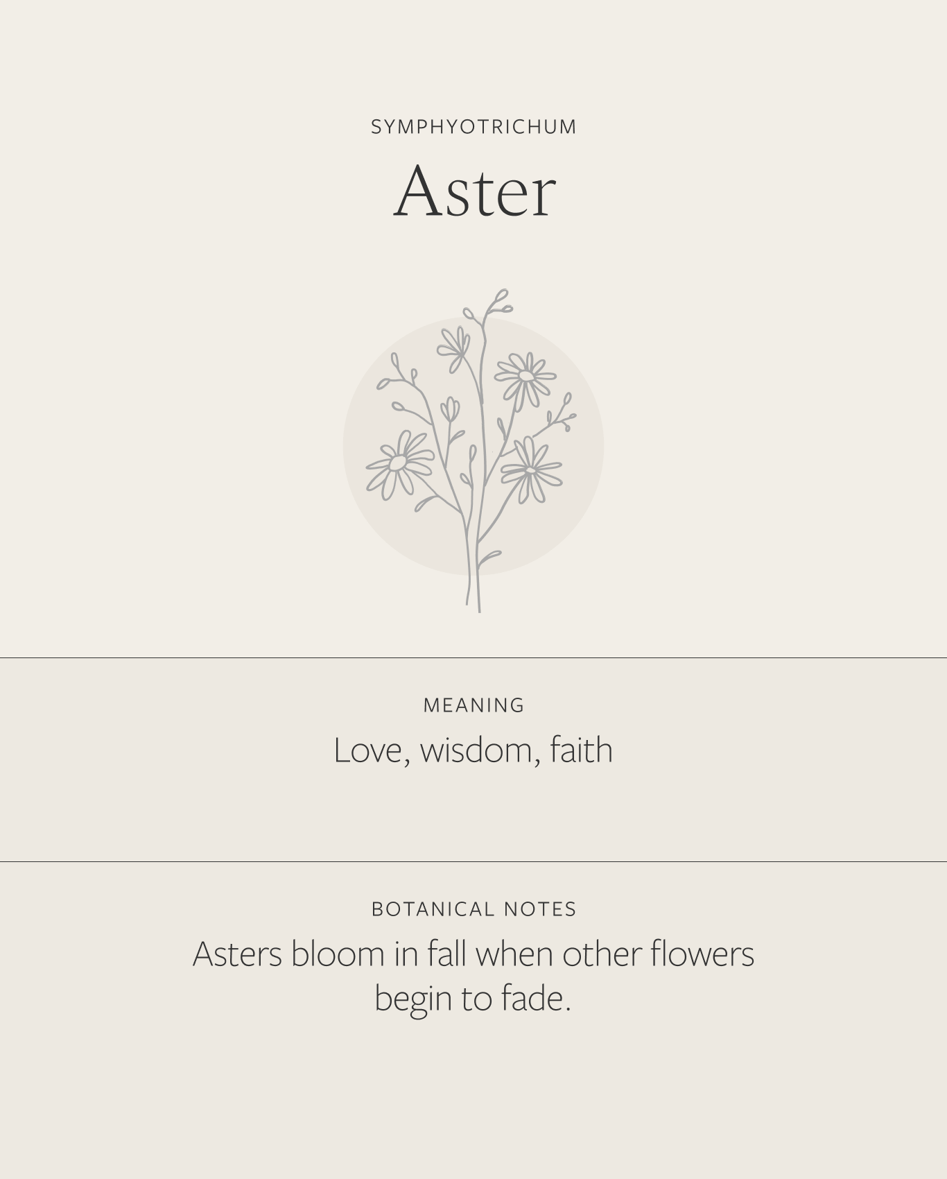 Elegant Aster Pendant Necklace